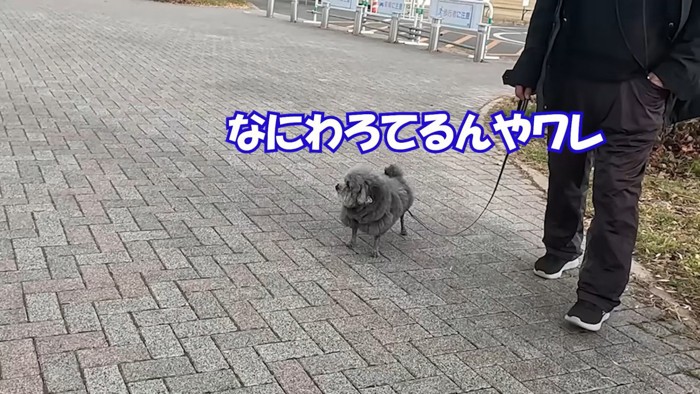 笑われて怒るゆず君
