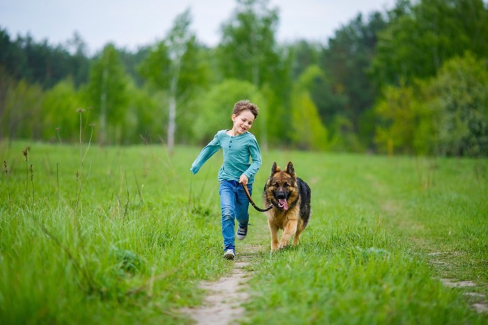 少年と犬