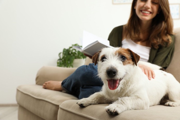 ソファーでくつろぐ犬と女性