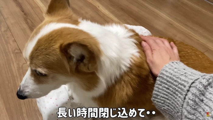 お利口でえらいね