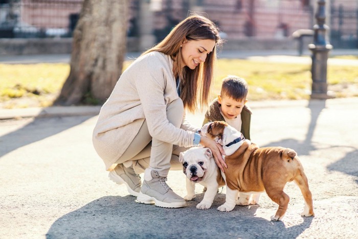 女性にクールダウンさせられる子犬二匹