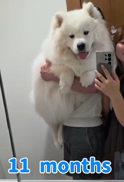 一応まだ子犬期です…