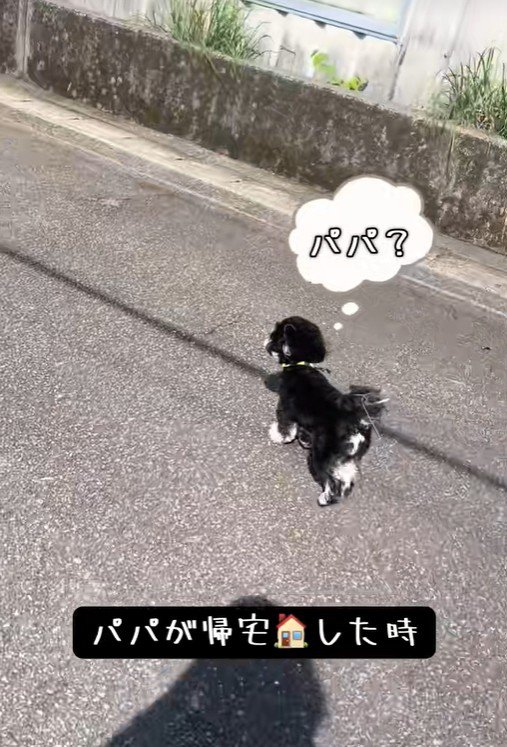 パパさんの車を発見