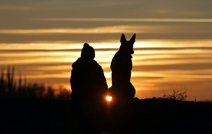 夕日の人と犬