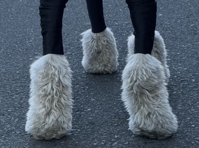 毛が残った犬の足元