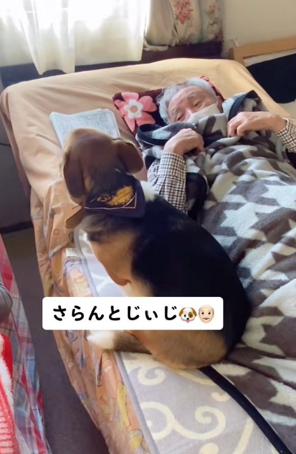 さらんちゃんを見るおじいちゃん