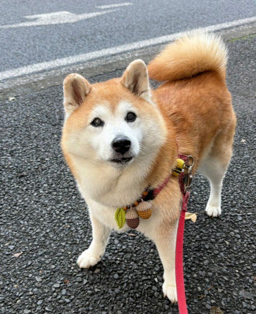 スン…