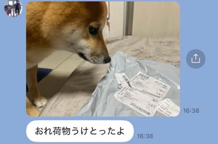 荷物を見るふうたくん