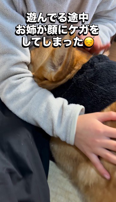 お姉ちゃんの顔に傷ができてしまった