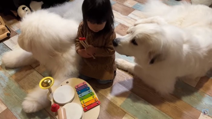 ろのちゃんが気になるシュシュちゃん