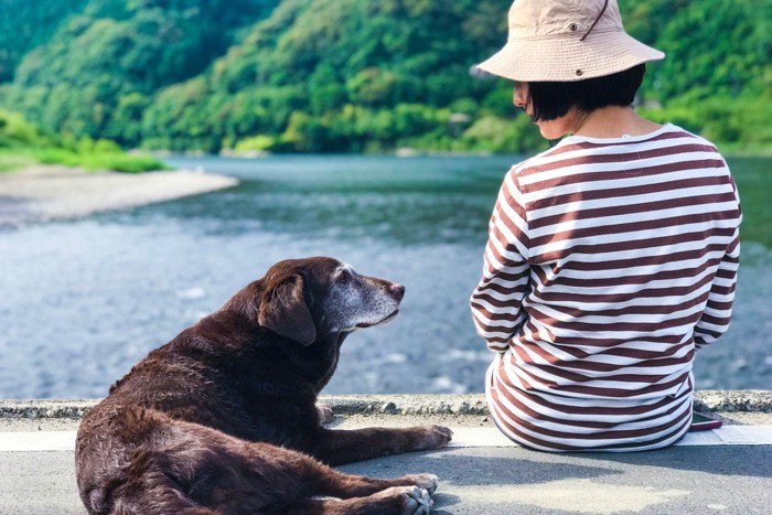 見つめ合う犬と女性