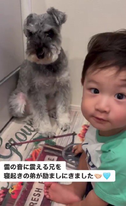 雷が怖い彦まろくん