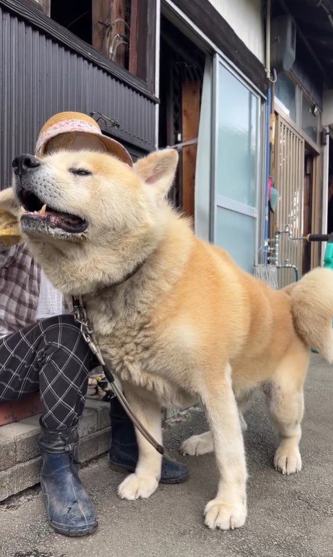 まる君とおばあちゃん8