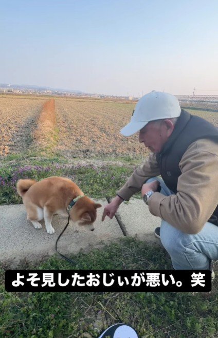 素早く出撃