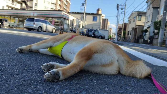 倒れる