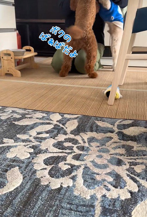 「僕のおばあちゃんだよ！」「いや、僕の！」