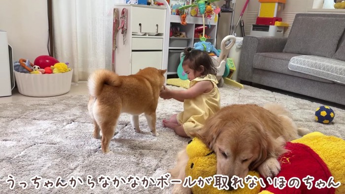 悔しさが募るほのちゃん