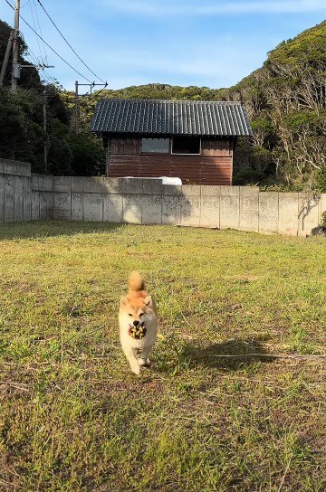 心がほっこりする♡