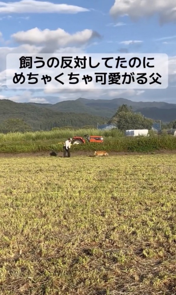 「おとうさーん！」