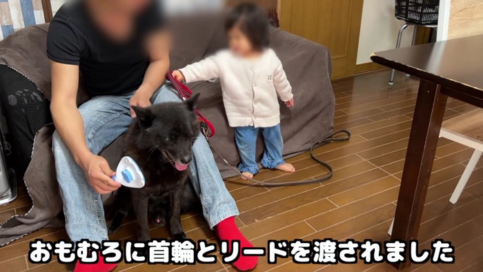 「お散歩に行きたい！」