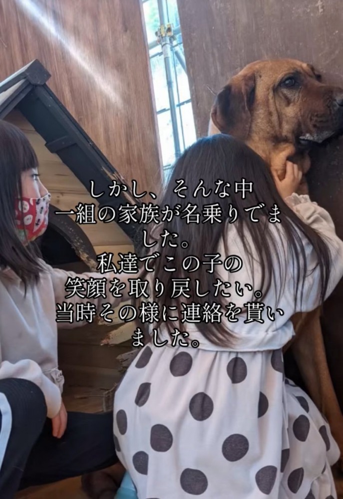 犬に抱きつく女の子たち