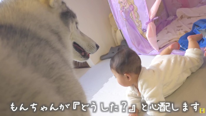 「大丈夫?」