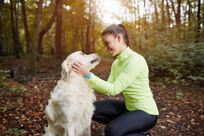 女性と話す犬