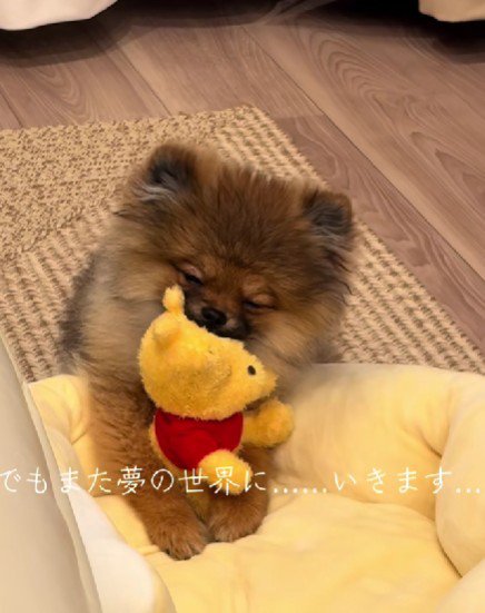 やっぱり眠い…