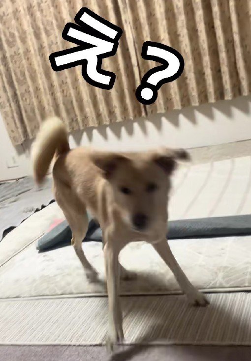 お転婆っ子に変貌！！