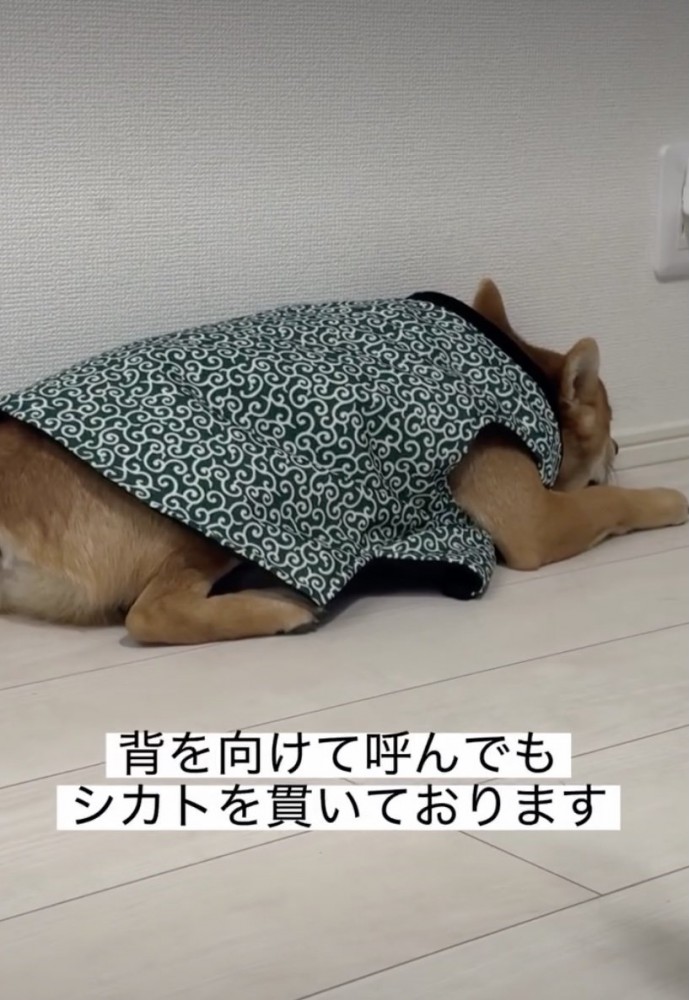 背中で不満を語ります