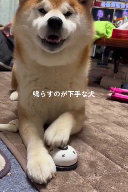 なぜか誇らしげ