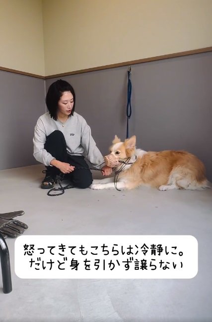 冷静な投稿主さん