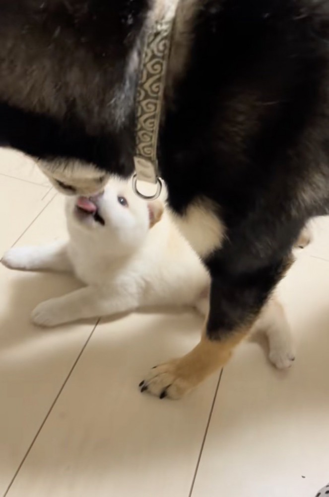 「たまんねぇよぉぉ」