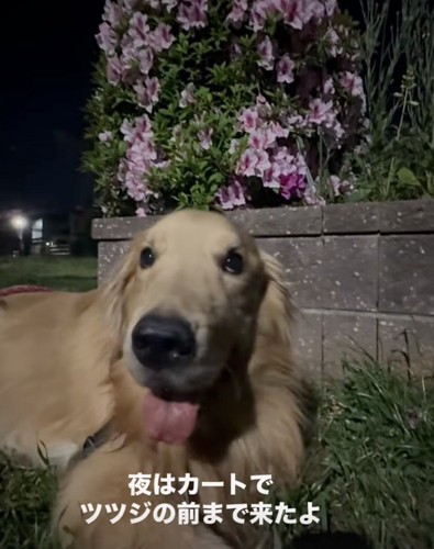 夜の散歩