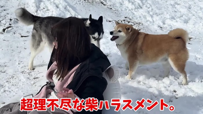 おもちくんが寄ってきて…