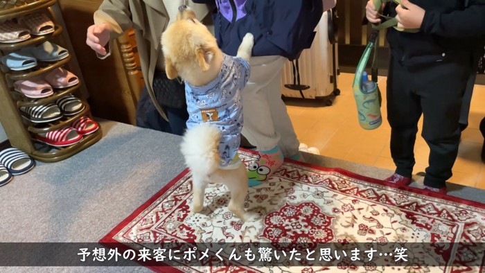 「早く一緒に遊ぼう!」