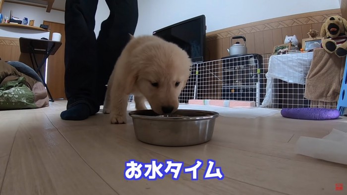 車酔いもしてなさそうなのでお水タイムに