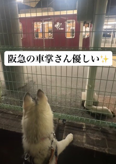 釘付けになっていたら…