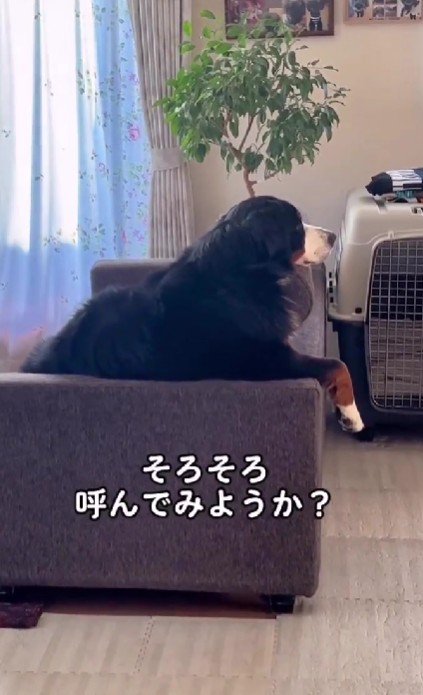 声をかけてみると…