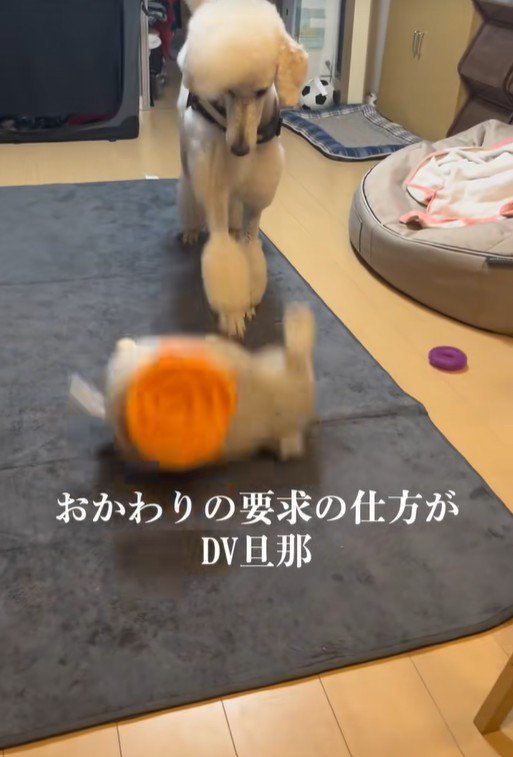 台を蹴飛ばしました!