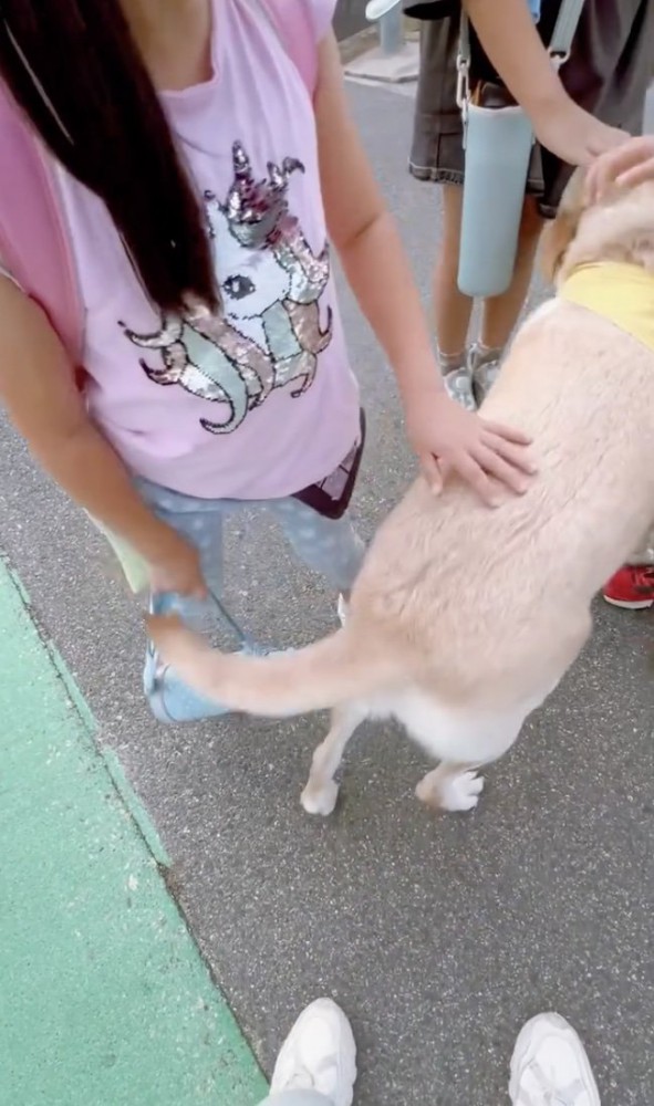尻尾ブンブンッ