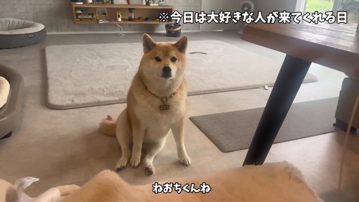 感情を出さないタイプ