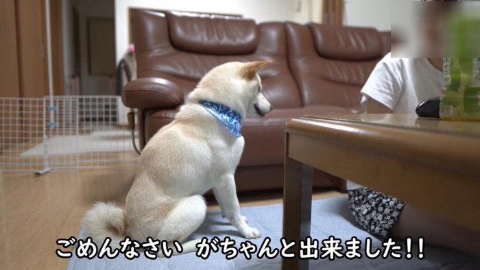 「ごめんなさい」と頭をペコッ