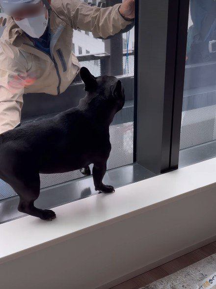 ニコニコ笑顔でホッコリ