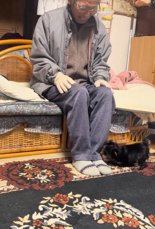 くぅちゃんとおじいちゃん4