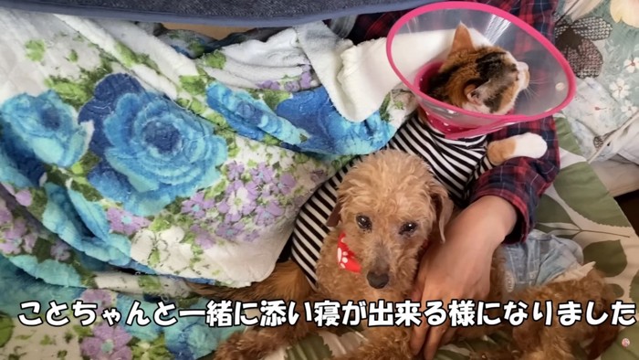 保護動物たちとも仲良しに