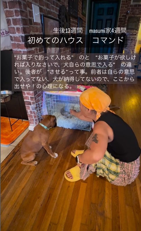 犬がハウスを受け入れなくなることも！