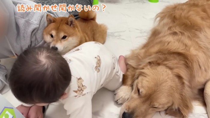 うにくんだけは真剣