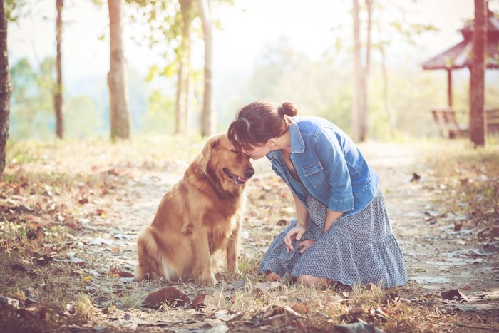 目を閉じるゴールデンにキスをする女性