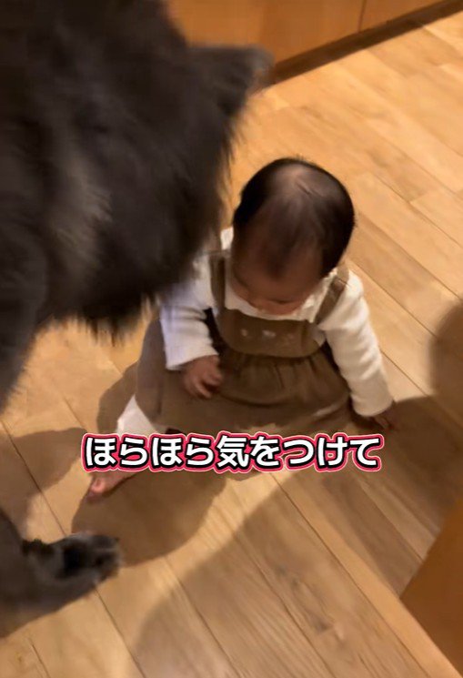 見守ってくれています